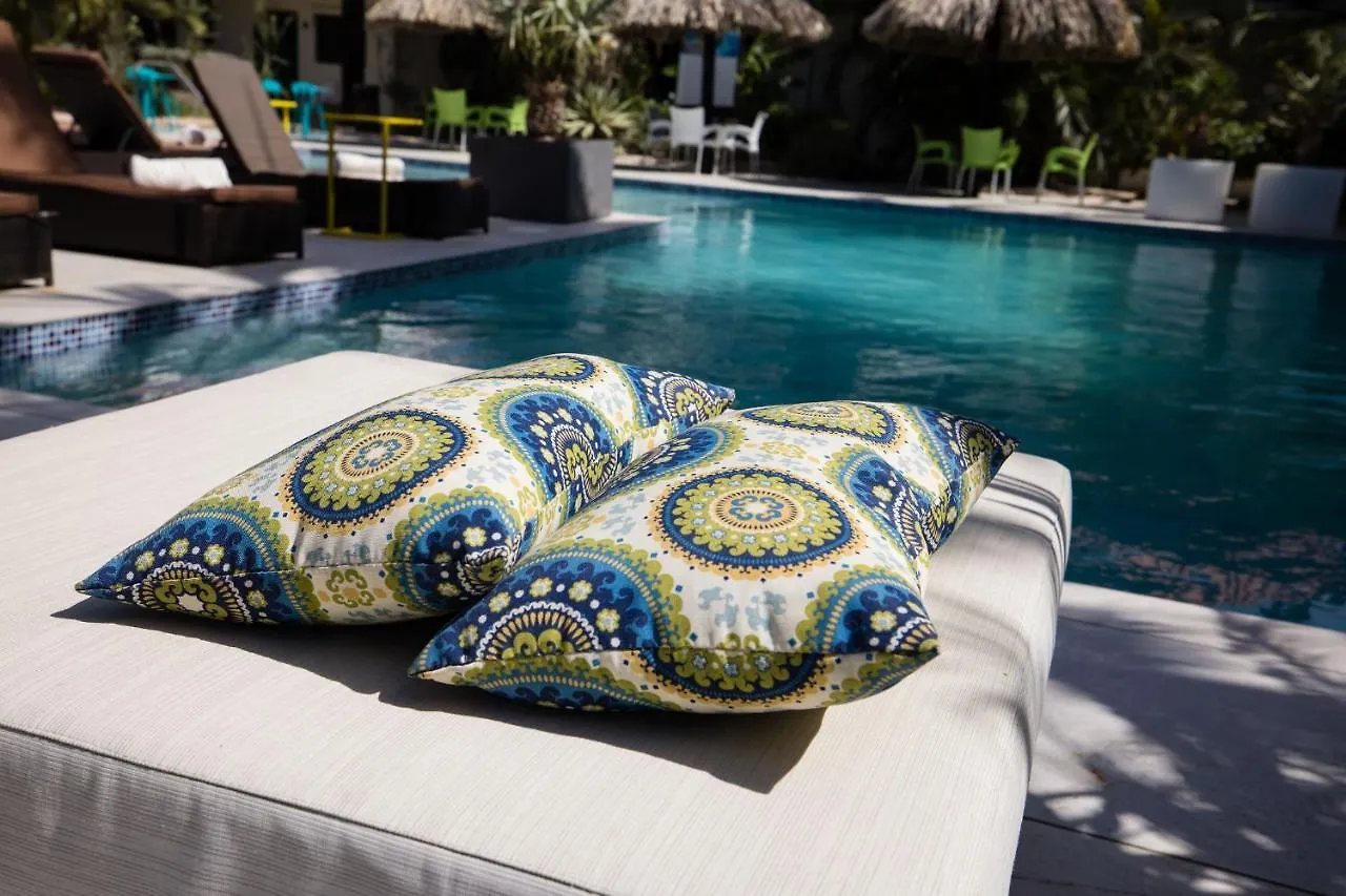 Hotel Van Gogh Inn Aruba Palm Beach
