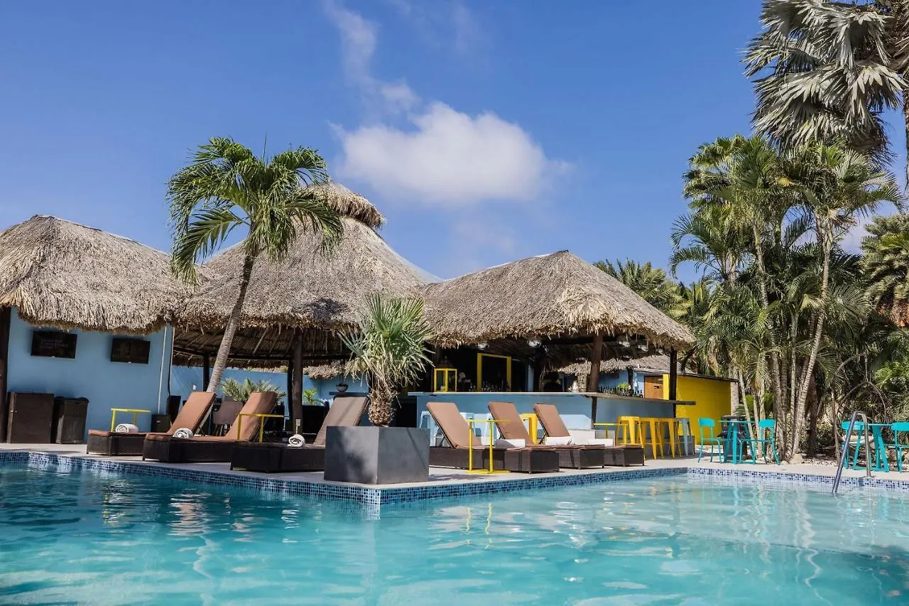 Van Gogh Inn Aruba Palm Beach Hotel