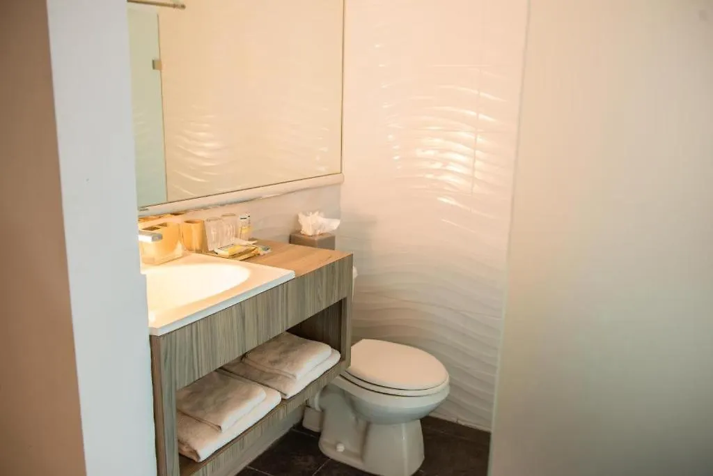Van Gogh Inn Aruba Palm Beach